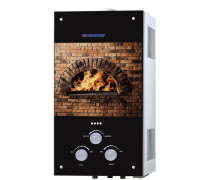 Газовая колонка Electrolux EDISSON S 20 G (КАМИН)